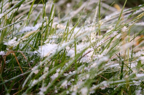 12月的奇迹(12月的奇迹：雪景下的冬季运动)