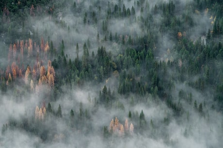 石家庄封龙山(石家庄封龙山：重回古代道路，领略自然景观)