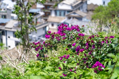 李白尸骨图片(李白尸骨图片：揭秘古诗人的荒诞轨迹)