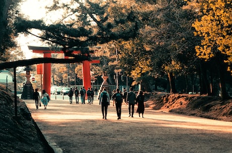 上海中青旅行社 从法律层面来讲旅行社不承担责任