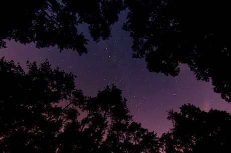 蓝蓝的夜蓝蓝的梦(蓝蓝的夜蓝蓝的梦：沉浸在星空下的仲夏夜)