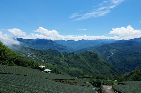 海盐房屋出租 如果检查发现有居住类出租屋违反了“二十项措施”有关规定