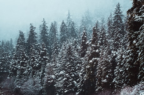 西安下雪(西安下雪，古城添新景)