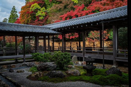 四枫院夜一(四枫院夜一：日本自然美景中的一颗璀璨明珠)