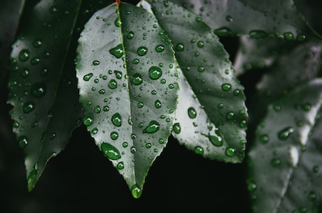 人工降雨一炮多少钱(人工降雨一炮多少钱？颗粒剂降雨技术为何如此贵？)